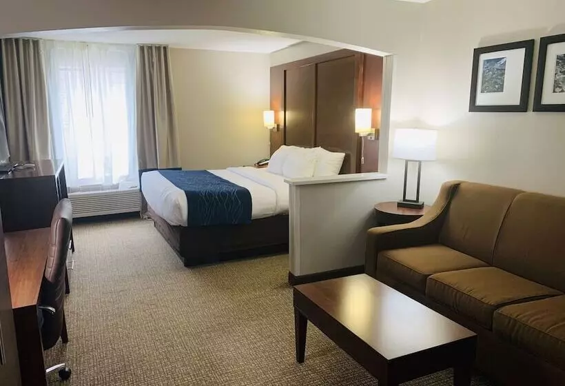 スイート, Comfort Inn & Suites Conway