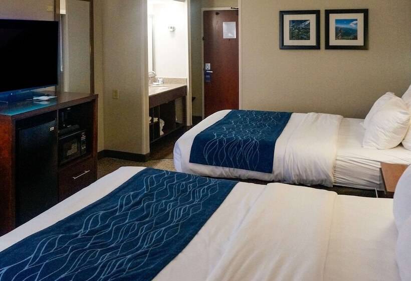 Люкс, Comfort Inn & Suites Conway