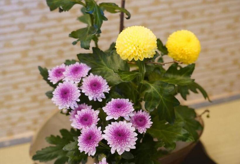 סוויטה עם ג'קוזי, Dantokan Kikunoya