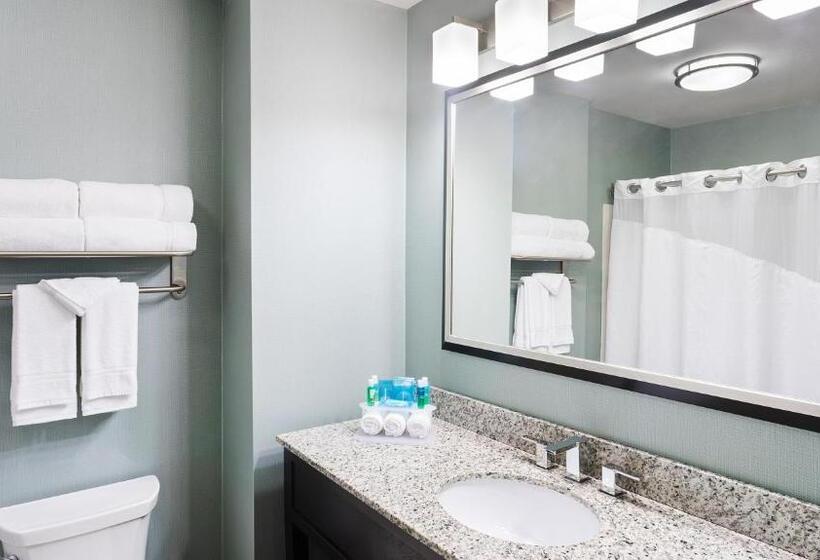 Люкс, Holiday Inn Express And Suites Stroudsburg Poconos, An Ihg