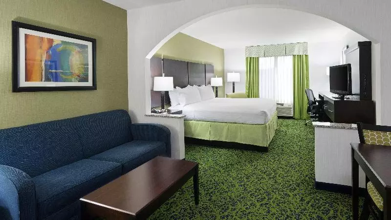 キングサイズベッドのスイートルーム, Holiday Inn Express And Suites Stroudsburg Poconos, An Ihg