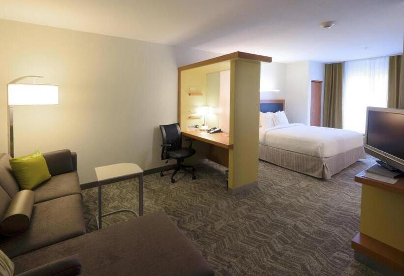 스위트 킹사이즈 침대, Springhill Suites By Marriott Albany Latham Colonie