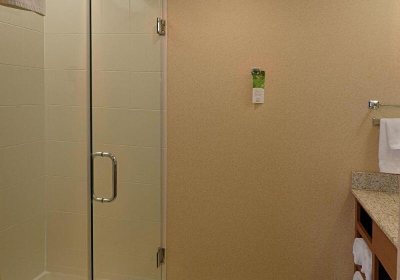 带大床的套房, Springhill Suites By Marriott Albany Latham Colonie