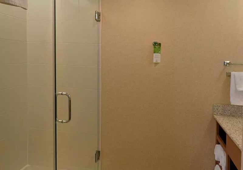 キングサイズベッドのスイートルーム, Springhill Suites By Marriott Albany Latham Colonie