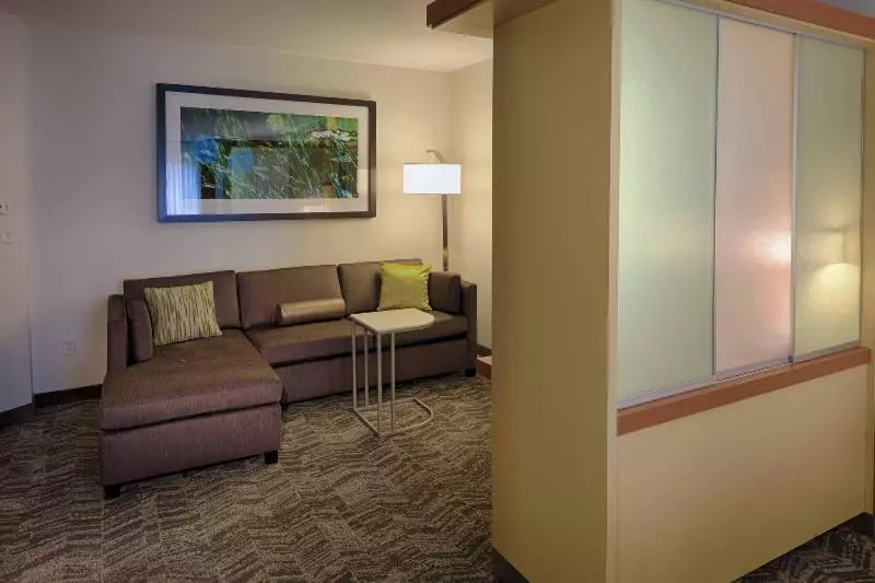 キングサイズベッドのスイートルーム, Springhill Suites By Marriott Albany Latham Colonie