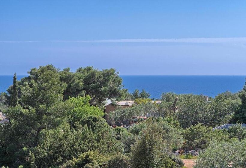 شقة غرفة واحدة مطلة على البحر, Apartments Irena