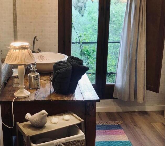 غرفة قياسية, La Lolita