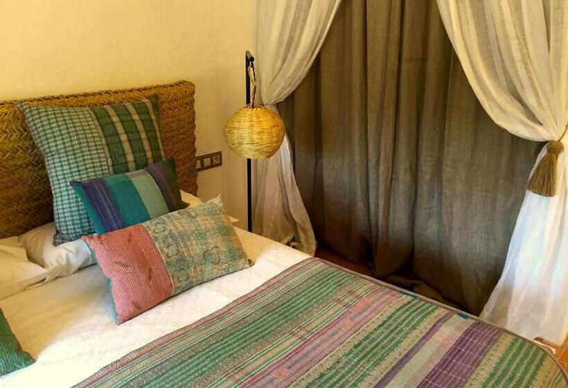 غرفة قياسية, La Lolita