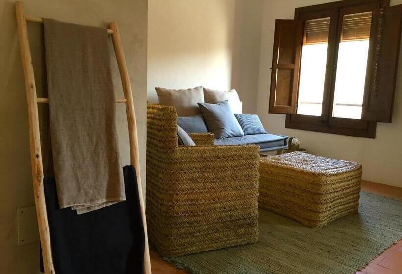 غرفة قياسية, La Lolita