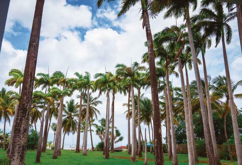 اتاق پرستیژ, Bakoua Martinique