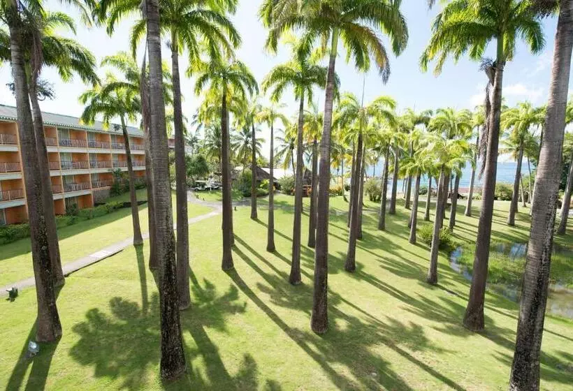 اتاق پرستیژ, Bakoua Martinique