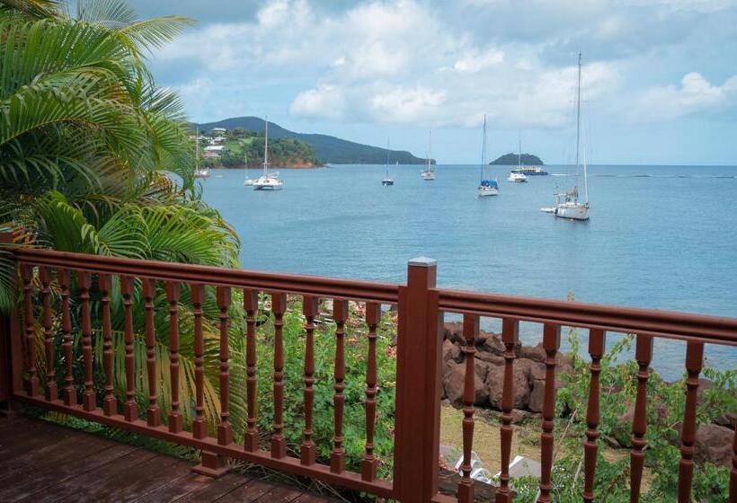 سوییت, Bakoua Martinique