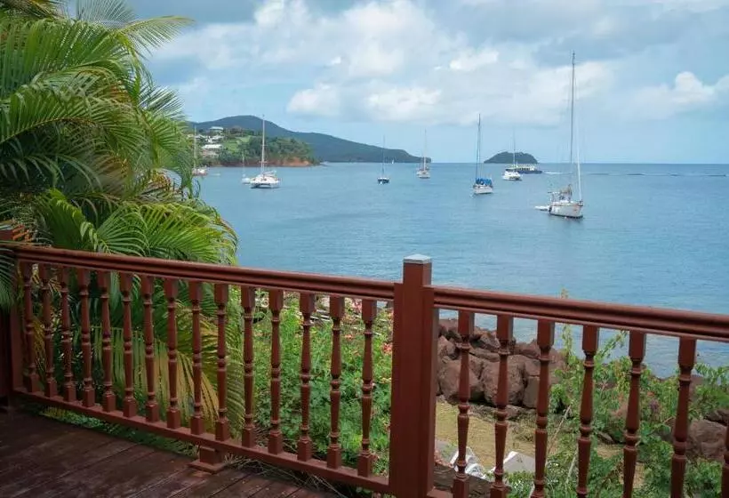 سوییت, Bakoua Martinique