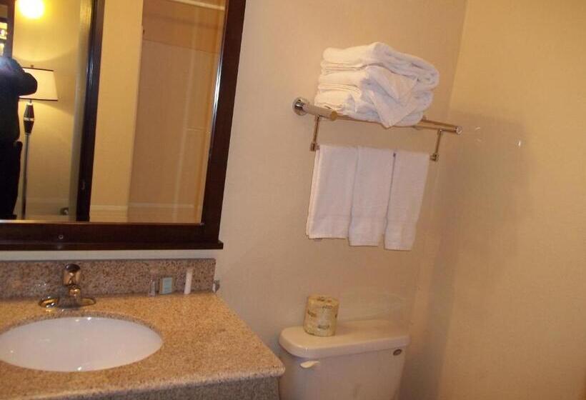 غرفة قياسية سرير كينج, Travelodge By Wyndham Newport