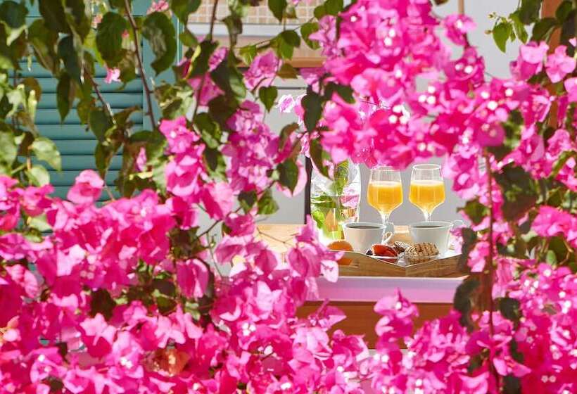 Студия Стандарт, Paul Marie