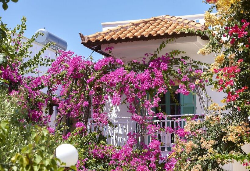 Студия Стандарт, Paul Marie