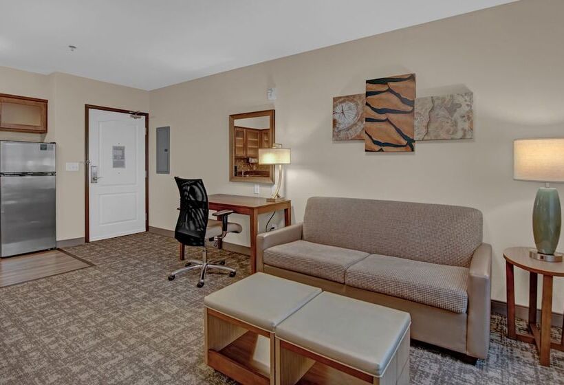 חדר סטודיו סטנדרד, Staybridge Suites Salt Lake West Valley City, An Ihg