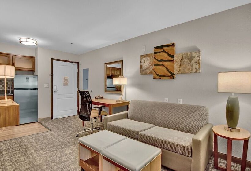 חדר סטודיו סטנדרד, Staybridge Suites Salt Lake West Valley City, An Ihg