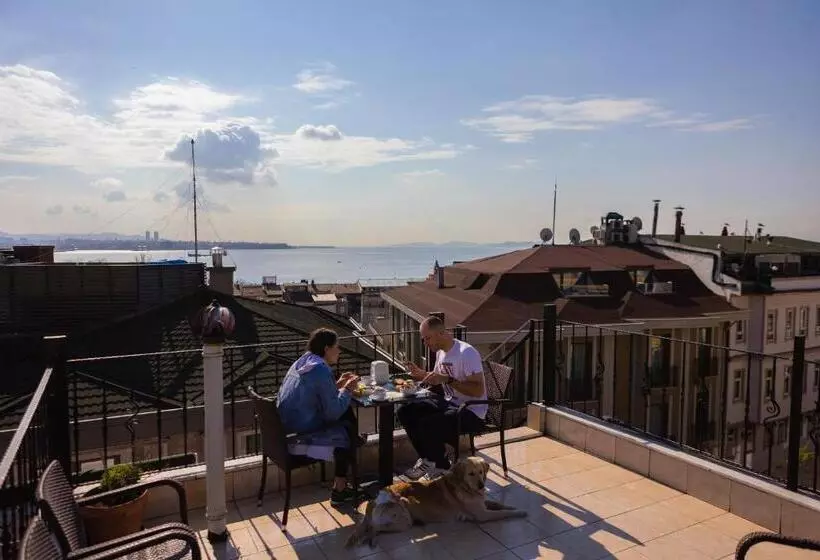 تختخواب در اتاق مشترک, Agora Guesthouse