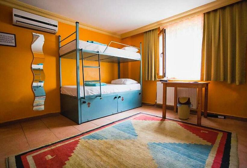 تختخواب در اتاق مشترک, Agora Guesthouse