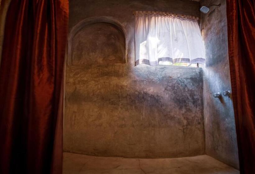 סוויטה נוף לגינה, Baxar