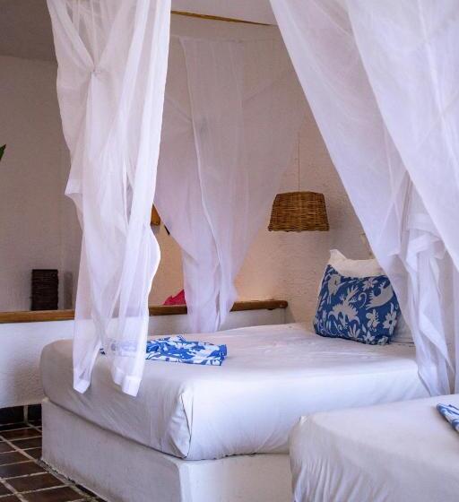 סוויטה נוף לגינה, Baxar