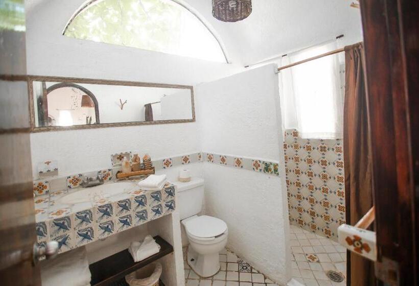 סוויטה נוף לגינה, Baxar