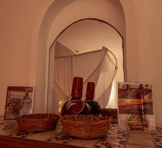 סוויטה נוף לגינה, Baxar