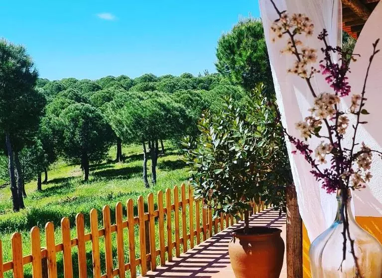 Standard-huone Terassi, Herdade Do Rio Torto