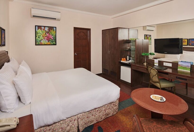 デラックスルーム, Mayfair Rourkela