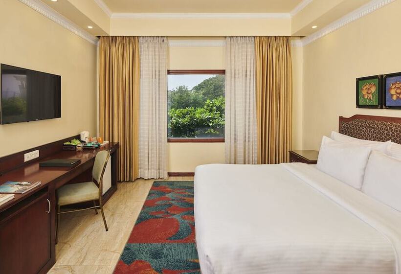 デラックスルーム, Mayfair Rourkela