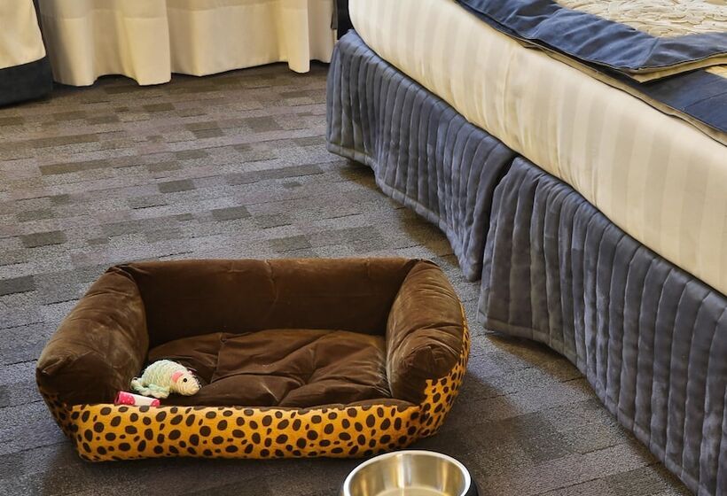 חדר סטנדרט, Best Western Plus Borgolecco