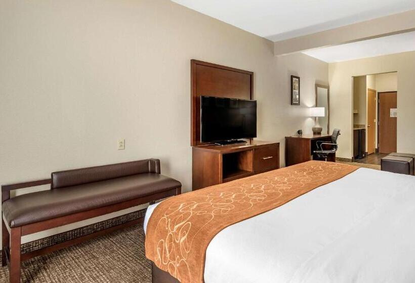 스위트 킹사이즈 침대, Comfort Suites Auburn Near I69