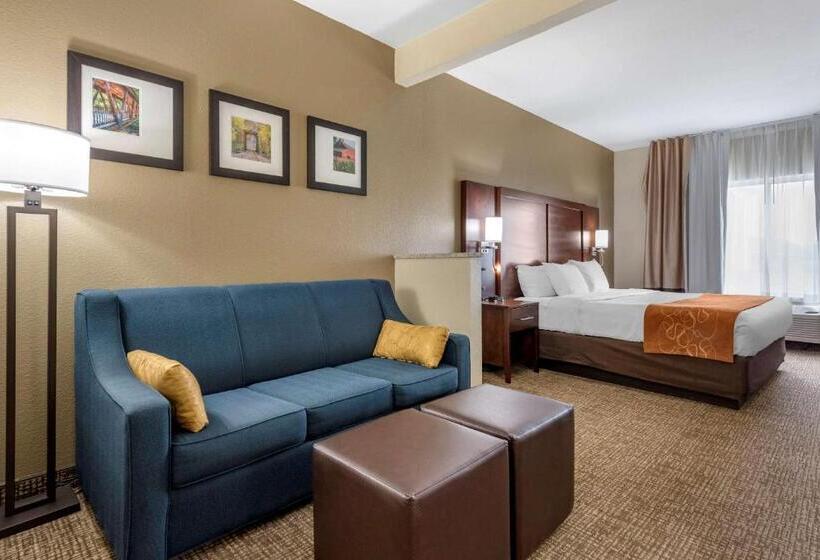 Люкс Кровать Кинг, Comfort Suites Auburn Near I69