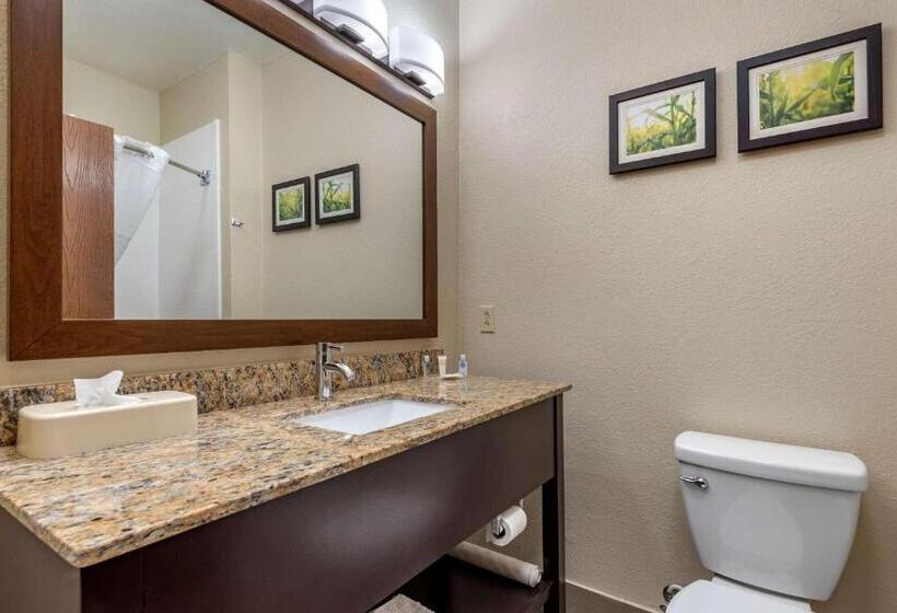 스위트 킹사이즈 침대, Comfort Suites Auburn Near I69