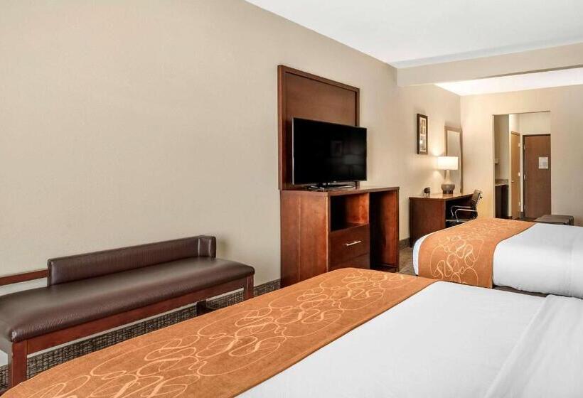 스위트, Comfort Suites Auburn Near I69