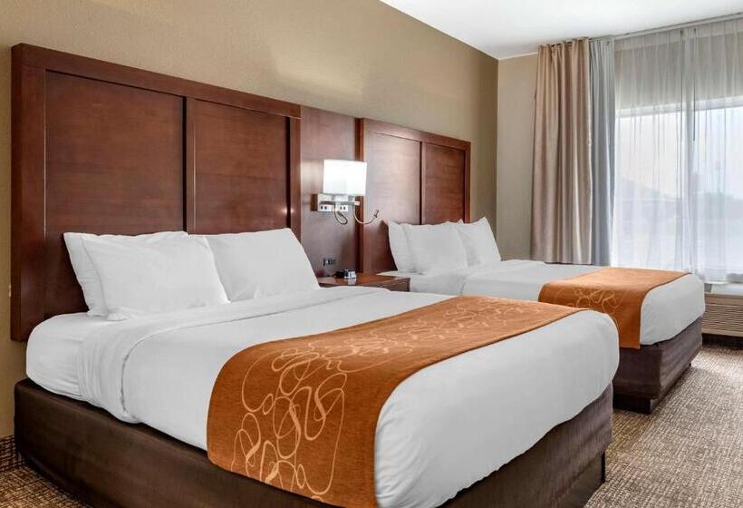 Люкс, Comfort Suites Auburn Near I69