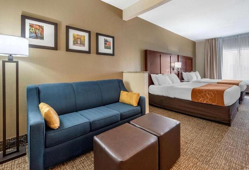 جناح, Comfort Suites Auburn Near I69