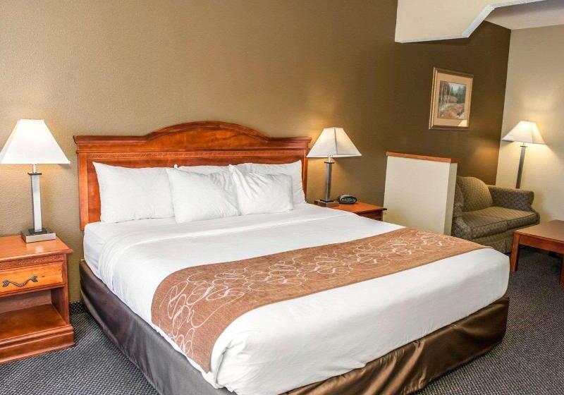 جناح سرير كينج, Comfort Suites Auburn Near I69