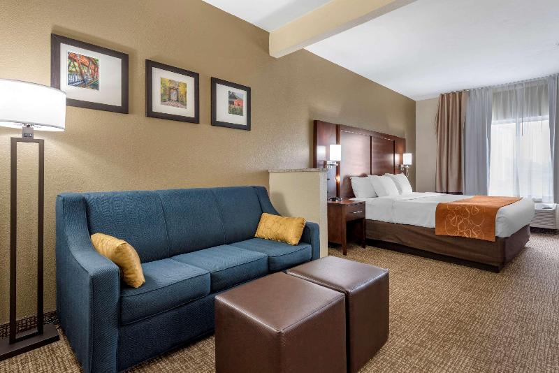 스위트 킹사이즈 침대, Comfort Suites Auburn Near I69