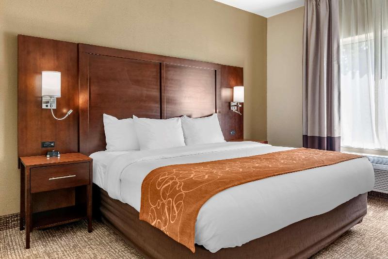 جناح سرير كينج, Comfort Suites Auburn Near I69