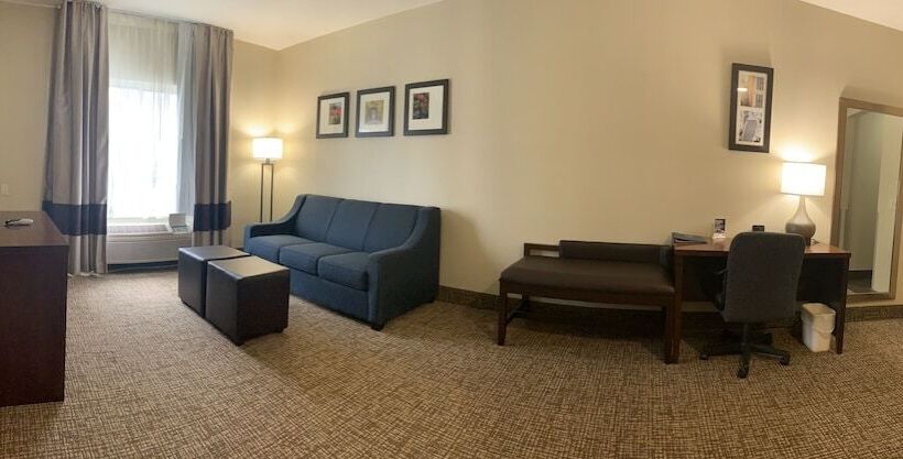 스위트, Comfort Suites Auburn Near I69