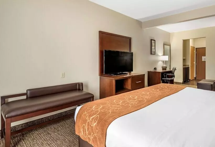 スイート, Comfort Suites Auburn Near I69