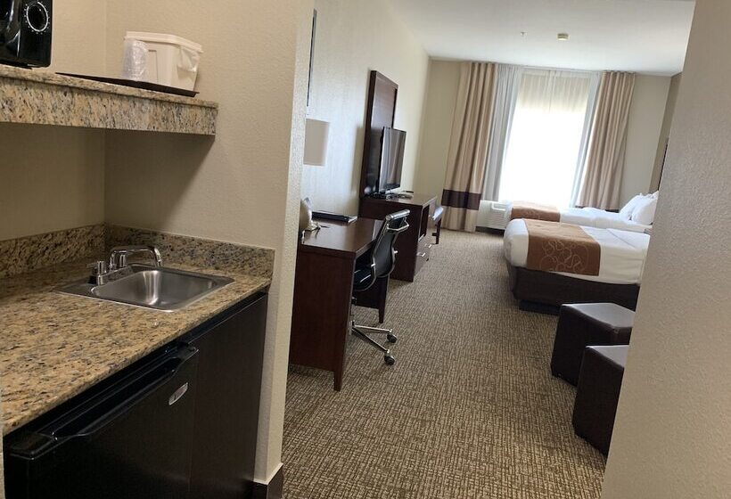 스위트, Comfort Suites Auburn Near I69