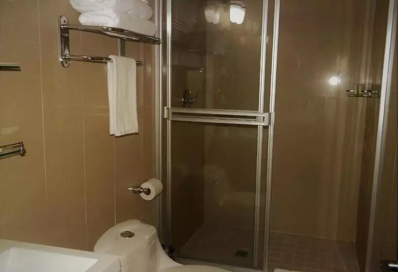 اتاق استاندارد با 2 تخت دوبل, Metro Hotel Panama