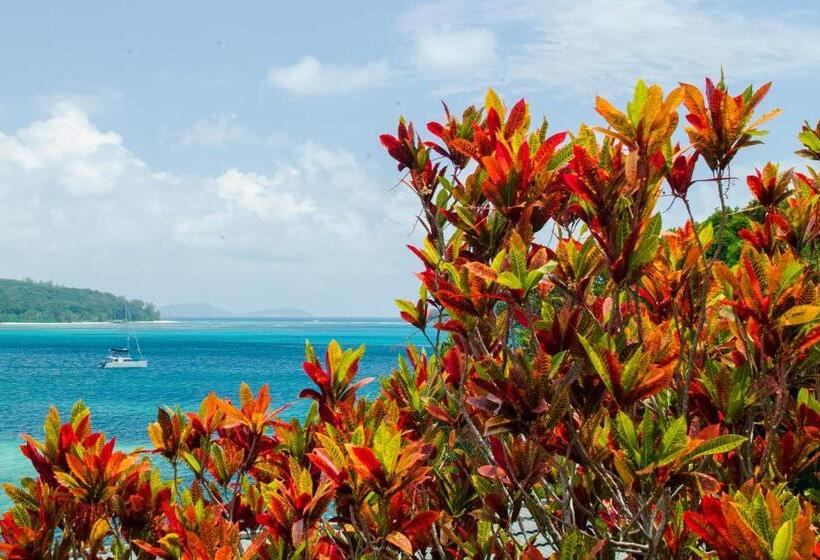 سوییت جونیور, Chalets Cote Mer