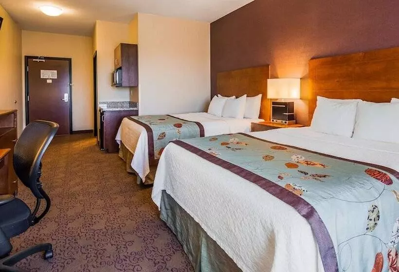 ２ダブルベッドのスタンダードルーム, Best Western Plus Carousel Inn & Suites Burlington