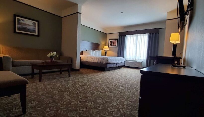 スイート, Best Western Plus Emory At Lake Fork Inn & Suites