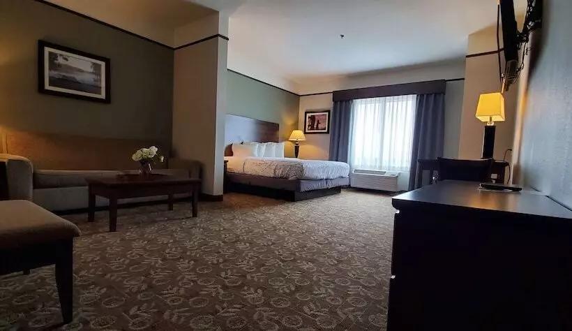 スイート, Best Western Plus Emory At Lake Fork Inn & Suites