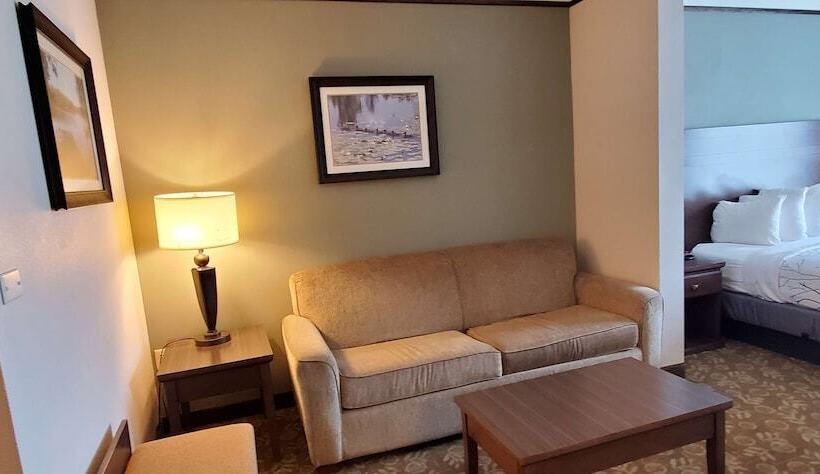 スイート, Best Western Plus Emory At Lake Fork Inn & Suites